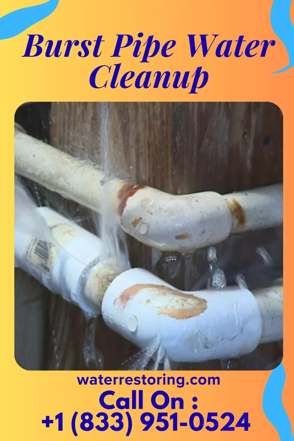 Burst Pipe Water Cleanup in Madaket, MA