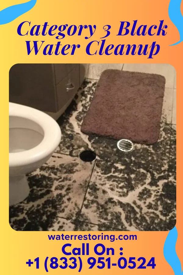 Category 3 Black Water Cleanup in Madaket, MA