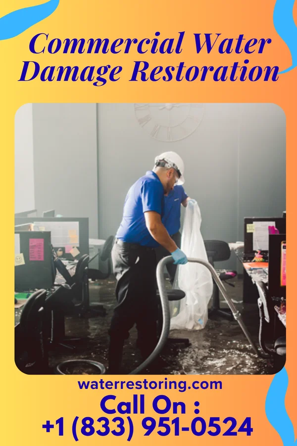 Commercial Water Damage Restoration in Madaket, MA