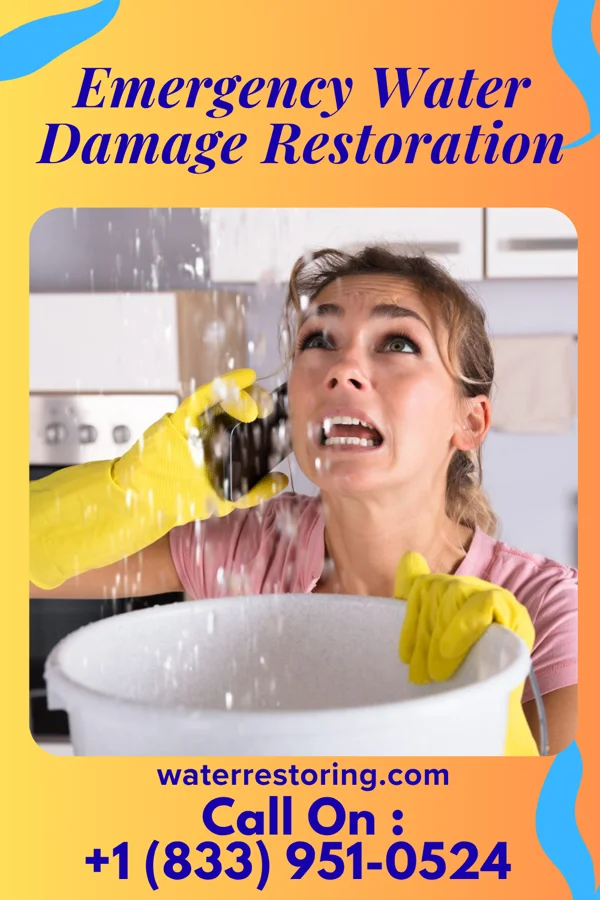 Emergency Water Damage Restoration in Madaket, MA