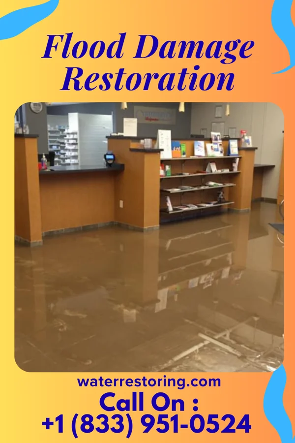 Flood Damage Restoration in Madaket, MA