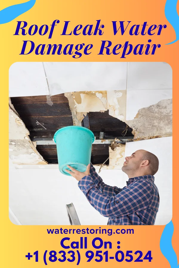 Roof Leak Water Damage Repair in Madaket, MA
