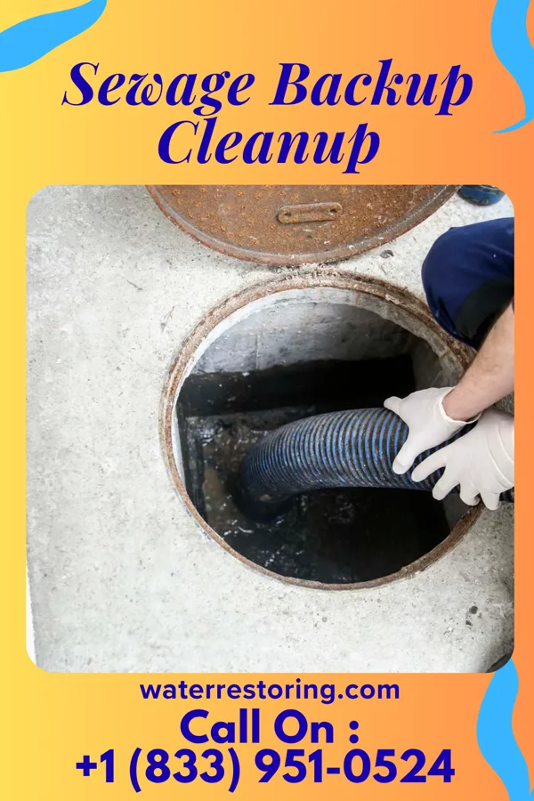 Sewage Backup Cleanup in Madaket, MA