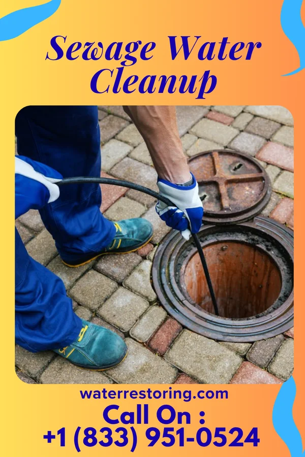 Sewage Water Cleanup in Madaket, MA